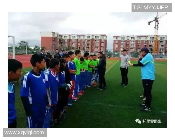 足球冬眠的背后原因与未来发展趋势的深度分析与探讨