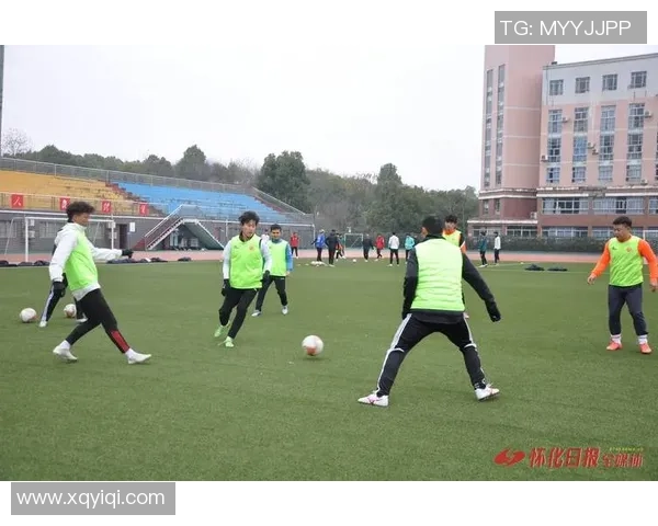 足球的魅力与激情探讨如何在绿茵场上实现梦想与团队精神